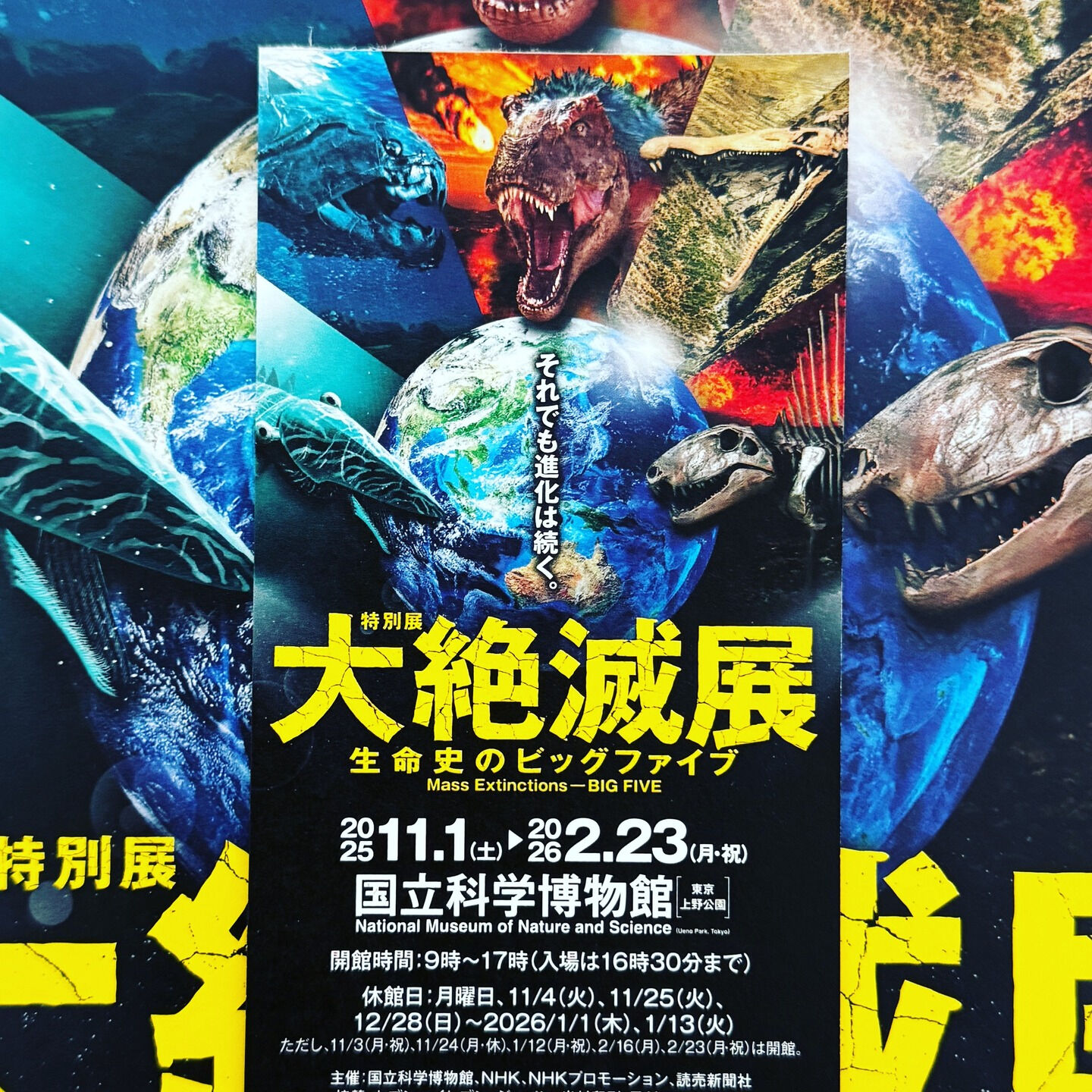 今年も始まって早速週の真ん中に差し掛かってきましたね✨週の疲